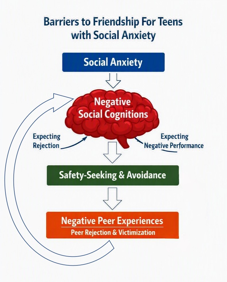 Diagram illustrating barriers to friendship for teens with social anxiety, featuring components like social anxiety, negative social cognitions, safety-seeking and avoidance, and negative peer experiences.